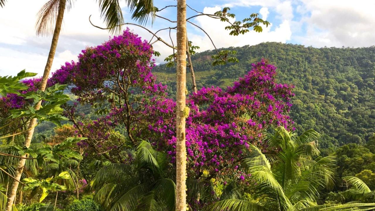 Casa Da Floresta Pico Da Aguia Araquari Exteriör bild