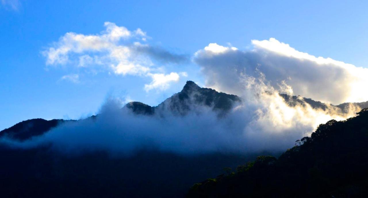Casa Da Floresta Pico Da Aguia Araquari Exteriör bild