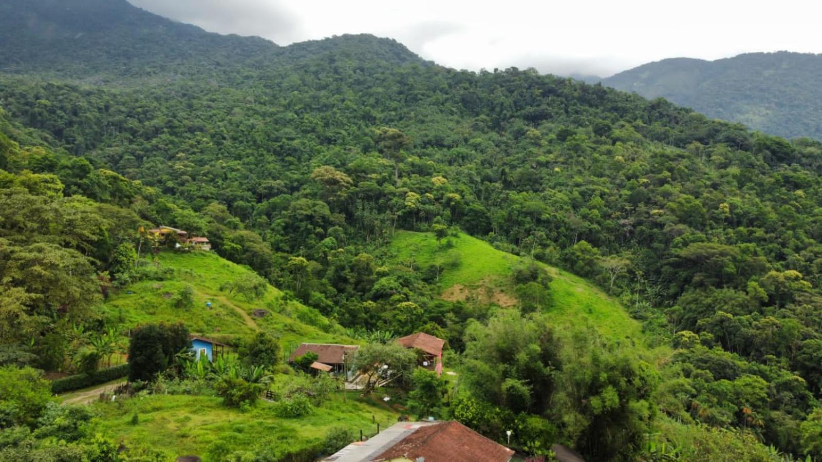 Casa Da Floresta Pico Da Aguia Araquari Exteriör bild
