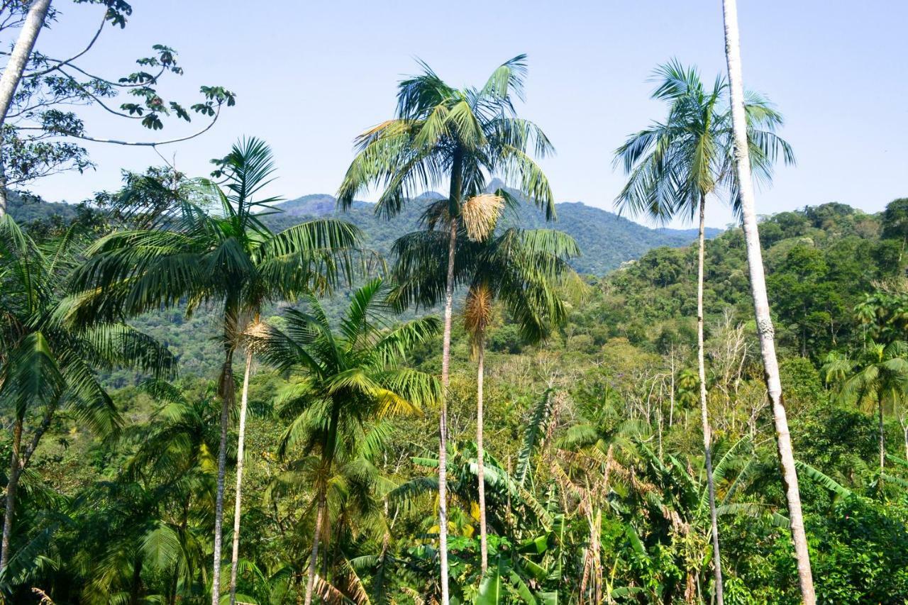 Casa Da Floresta Pico Da Aguia Araquari Exteriör bild